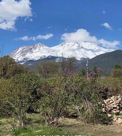Angel Cottage With A Sauna Or The Cozy With A Jacuzzi Tub, Both Are Studios With A View Of Mount Shasta Exterior photo